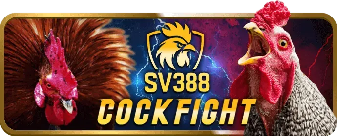 Email hỗ trợ 88v win
